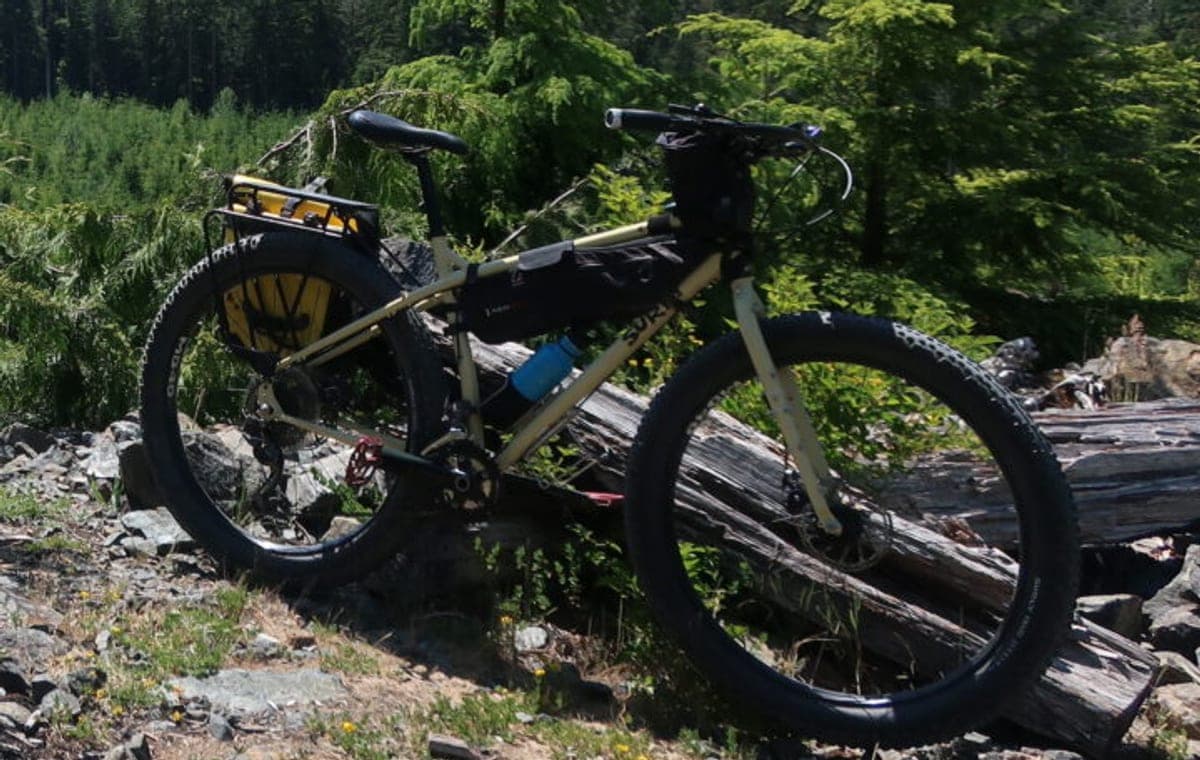 A loaded gravel bike resting against a fallen log on a forest route